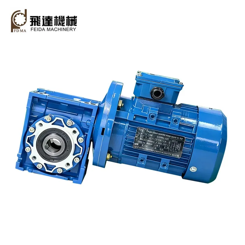 Worm Gear Reducer